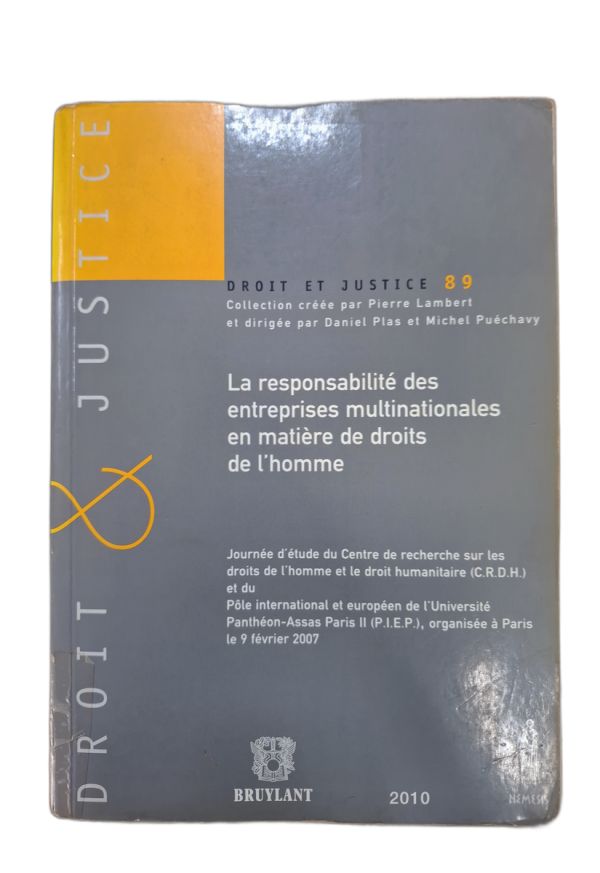 la responsabilité des entreprises multinationales en matière de droits de l’homme